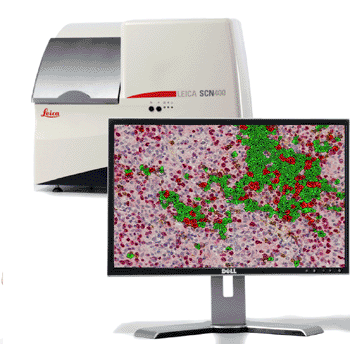 Image: Tissue IA 2.0 – Automated Image Analysis for Brightfield and Fluorescence Digital Pathology (Photo courtesy of Leica Microsystems).